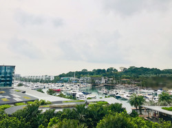 The Residences at W Singapore Sentosa Cove (D4), Condominium #226354051